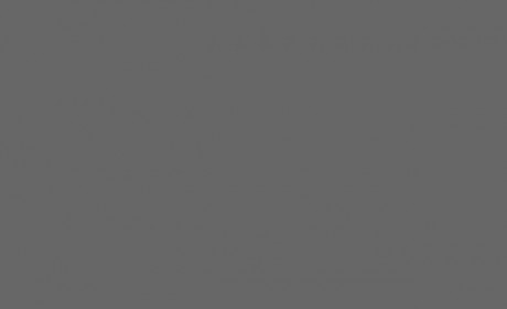 Tibbiz Logo